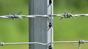fence 1